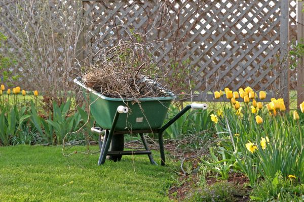 Flower Bed Cleanup Service in Stamford