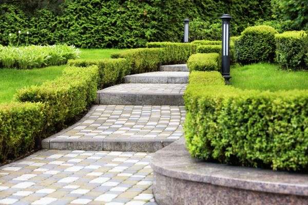 Backyard Remodeling in Stamford