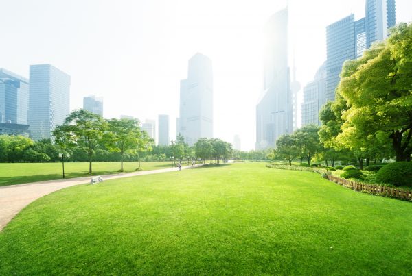 Commercial Landscape Maintenance in Stamford