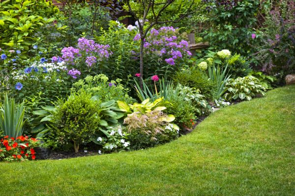 Flower Bed Service in Stamford