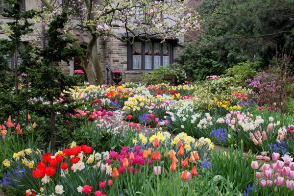 Garden Maintenance Service in Stamford