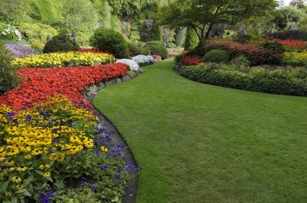 Landscaping Maintenance in Stamford