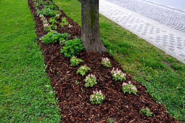 Mulch Replacement Service in Stamford
