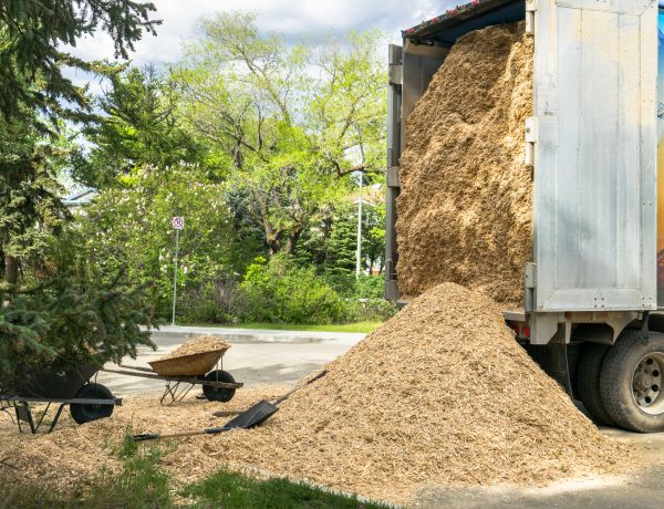 Wood Chips Delivery in Stamford