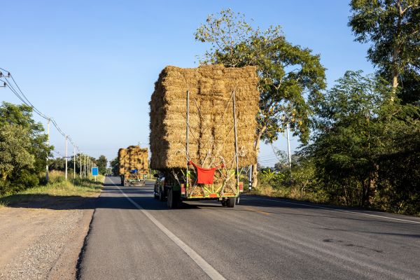 Pine Straw Delivery in Stamford