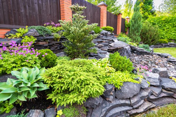 Landscape Remodeling in Stamford