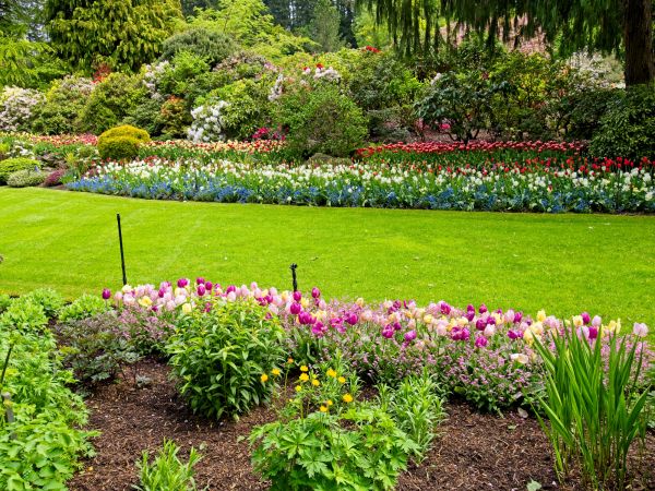 Residential Landscape Design in Stamford
