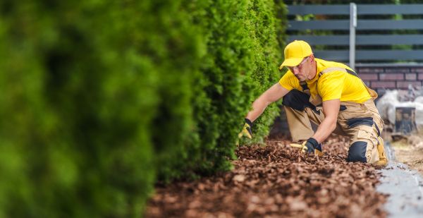 Cypress Mulch Installation in Stamford