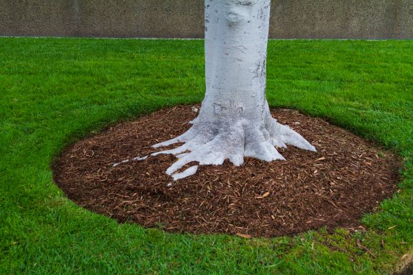 Brown Mulch Installation in Stamford