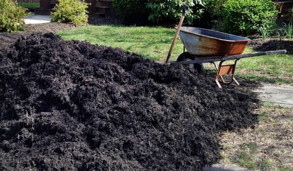 Black Mulch Installation in Stamford