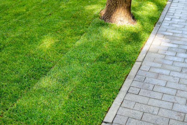 Border Stone Installation in Stamford