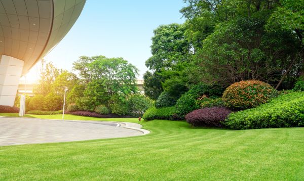 Business Landscape Design in Stamford