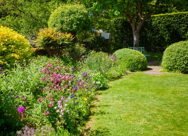 Yard Landscaping Service in Stamford