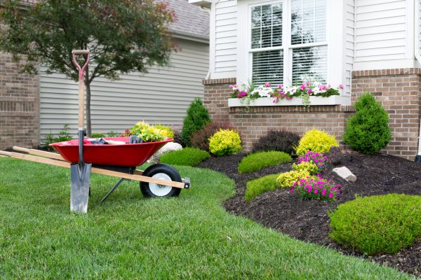 Tree And Shrub Planting in Stamford