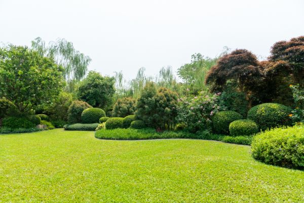 Tree Landscaping in Stamford