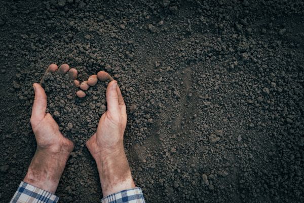 Soil Installation in Stamford