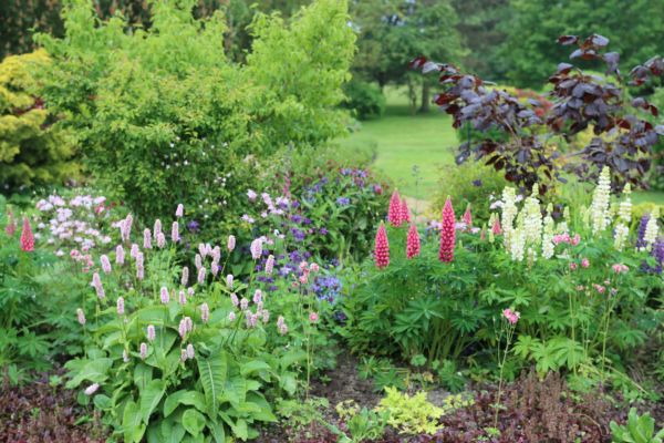 Flower Bed Planting in Stamford