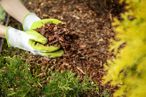 Garden Mulch Delivery in Stamford