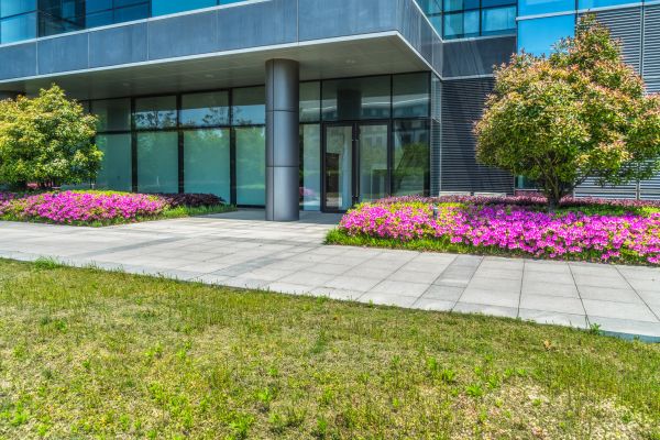 Commercial Gardening in Stamford