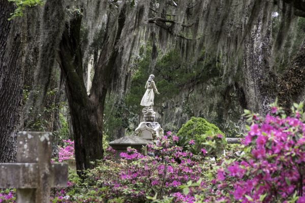 Cemetery Landscaping in Stamford