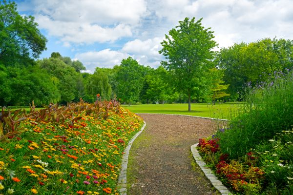 Park Landscaping in Stamford