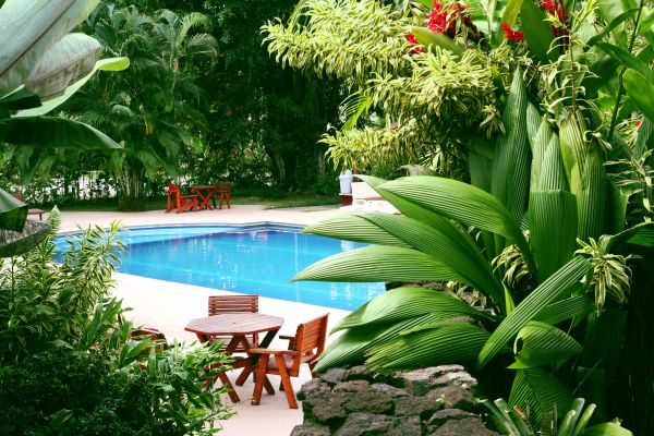 Tropical Garden Landscaping in Stamford