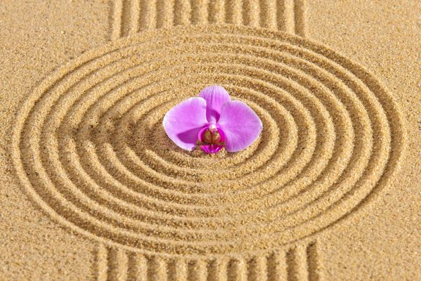 Sand Garden Landscaping in Stamford