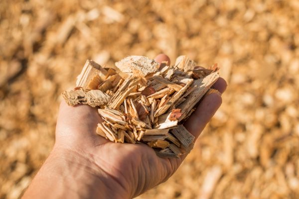Wood Chips Spreading in Stamford