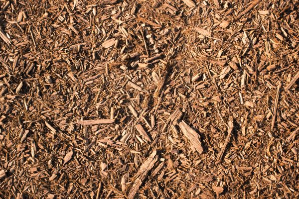 Wood Chips Removal in Stamford