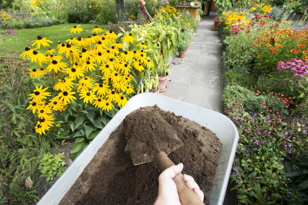 Topsoil Replacement in Stamford