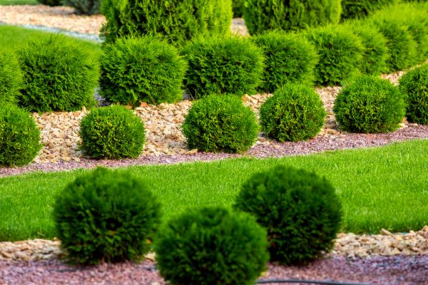 Bush Replacement in Stamford