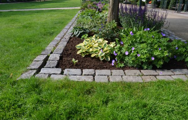 Flower Bed Mulching in Stamford