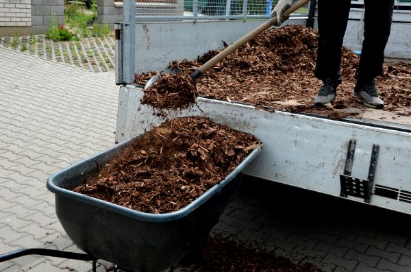Playground Mulch Delivery in Stamford