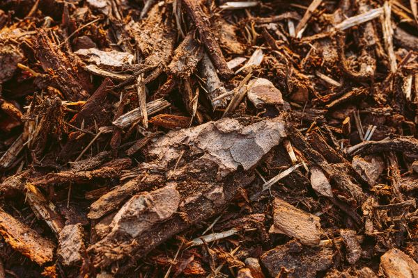 Bark Mulch Delivery in Stamford
