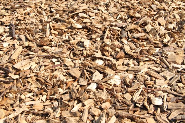 Wood Mulch Delivery in Stamford