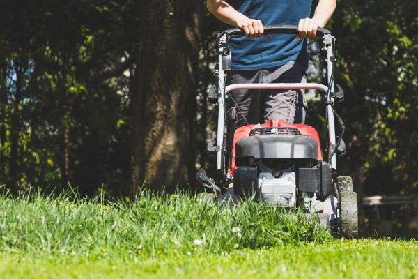 Garden Trimming Service in Stamford