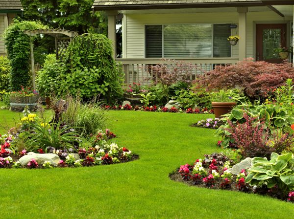 Flower Garden Planting in Stamford