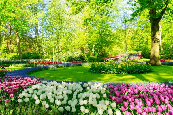 Flower Landscaping in Stamford