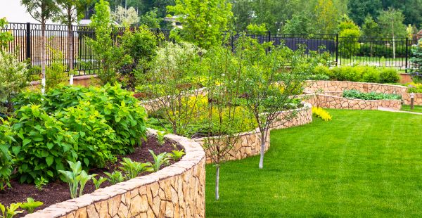 Yard Makeover Service in Stamford