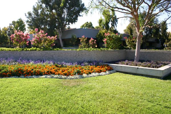 Commercial Landscape Service in Stamford