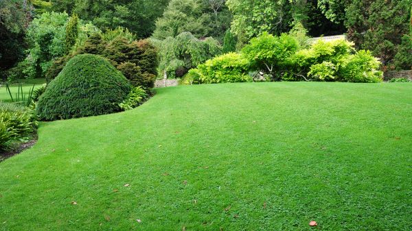 Commercial Landscape Design in Stamford
