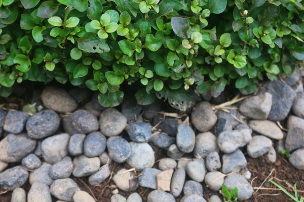 River Stone Installation in Stamford