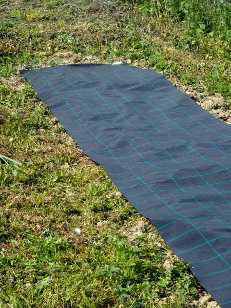 Weed Suppressant Installation in Stamford