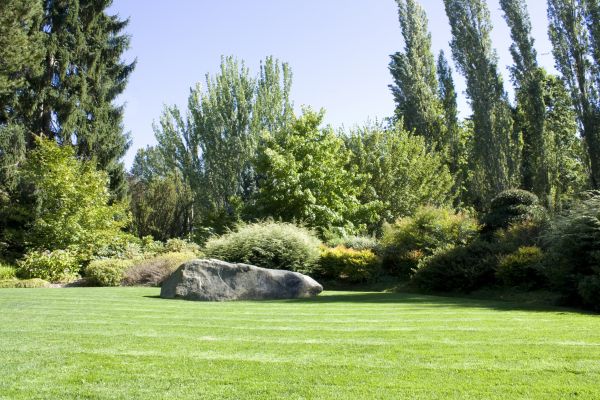 Yard Enlargement in Stamford