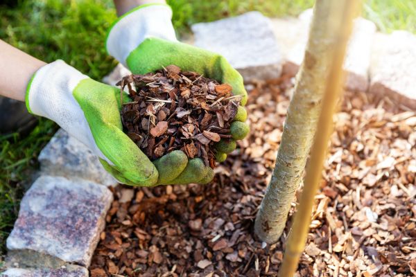 Tree Bark Delivery in Stamford