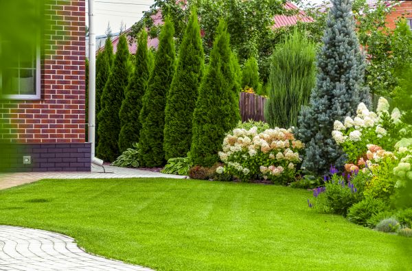 Spring Landscaping in Stamford
