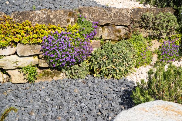 Landscaping Rocks Installation in Stamford