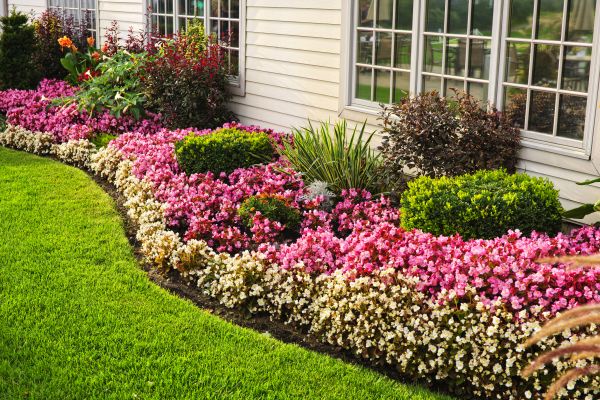 Garden Landscape Design in Stamford