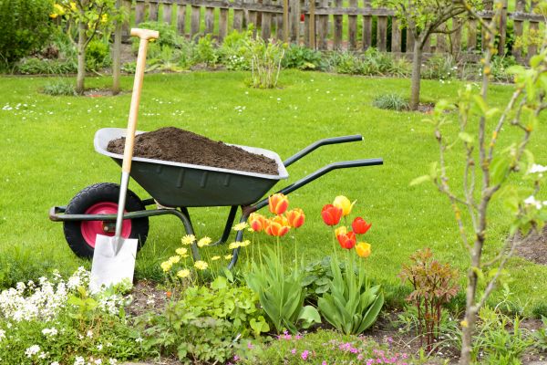 Spring Yard Renovation in Stamford