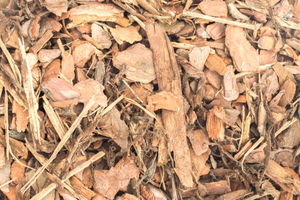 Bark Mulch Installation in Stamford